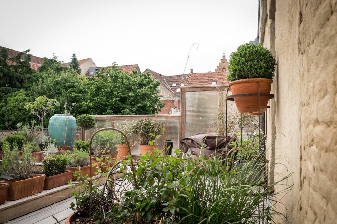 Csar Private Guesthouse Brugge Ngoại thất bức ảnh